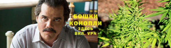 гидра Аркадак