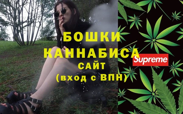 гидра Аркадак