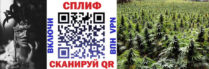 Шишки марихуана SATIVA & INDICA  мега вход  Родники 